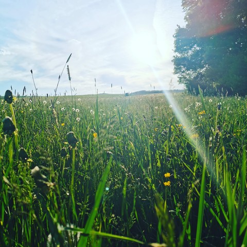 Spring in Germany