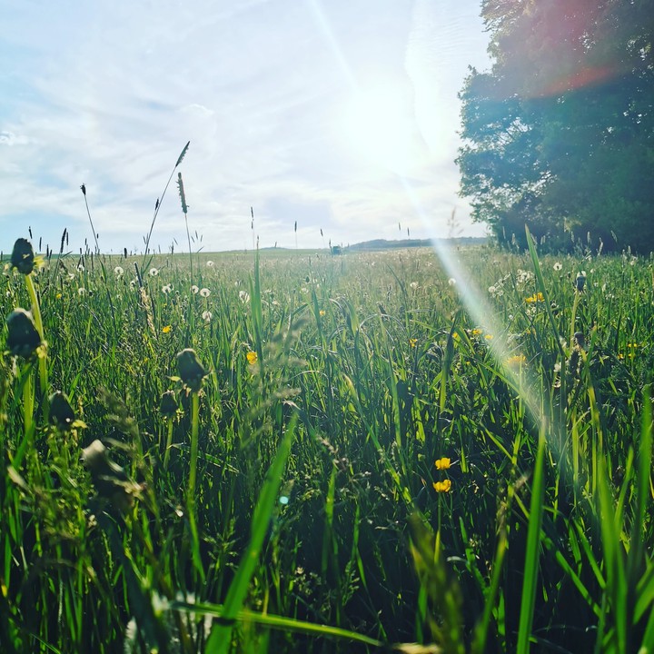 Spring in Germany