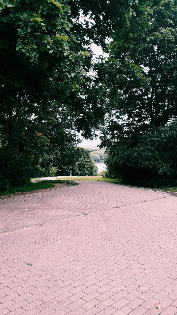 В парке