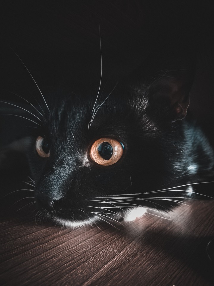 ph: Вика
