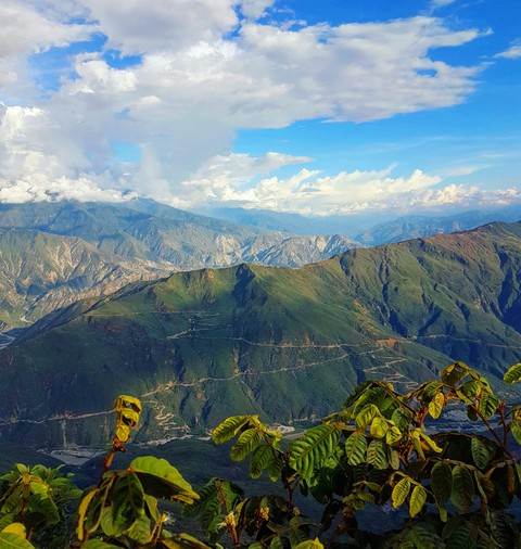 Mountain