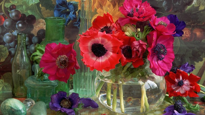 Flowers ❤