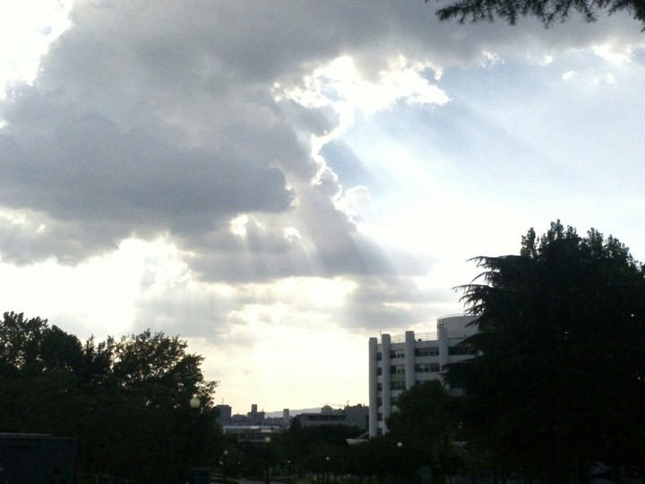 light