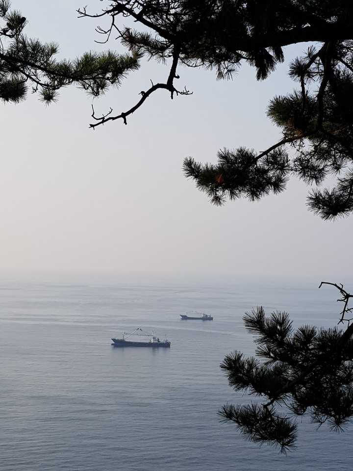 제주도 바다