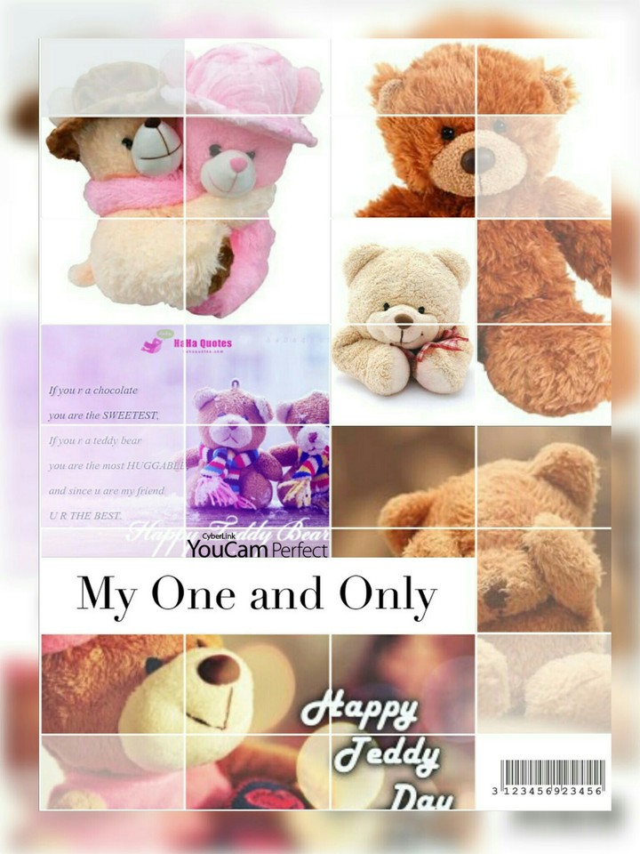 Teddy Bear