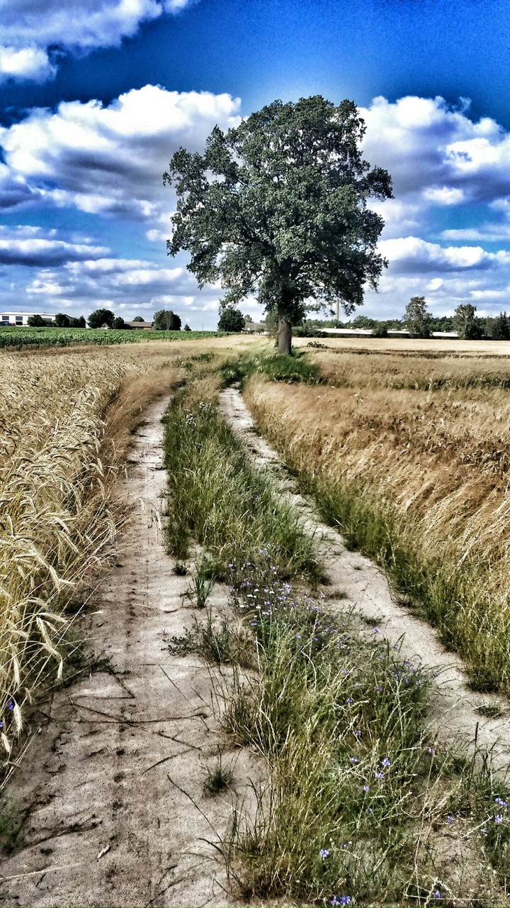 drogi są różne