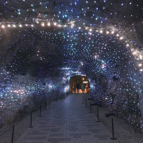 starry