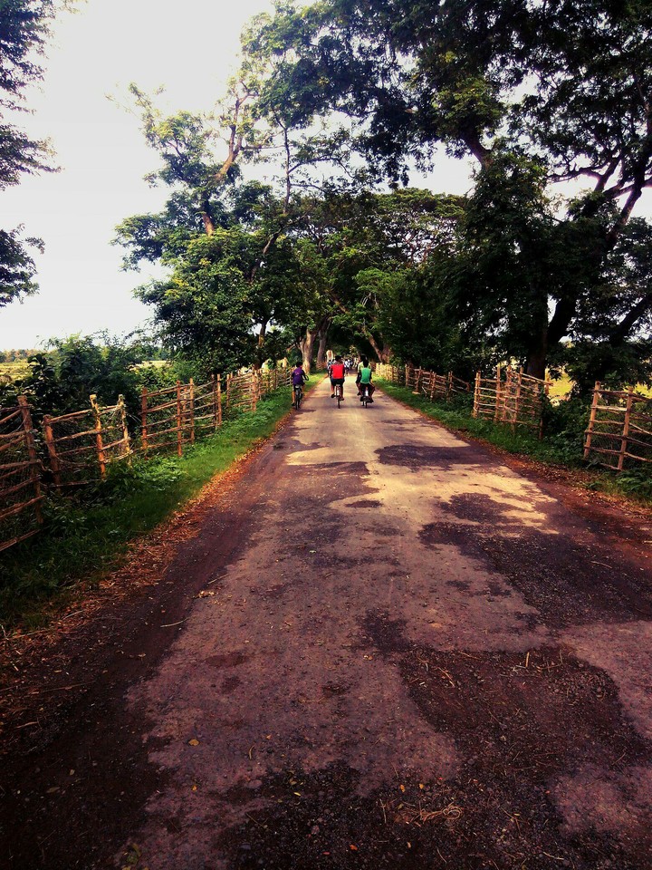 country side