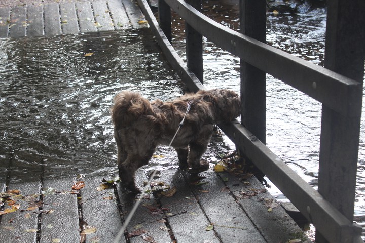 dont think i want jump in there!!