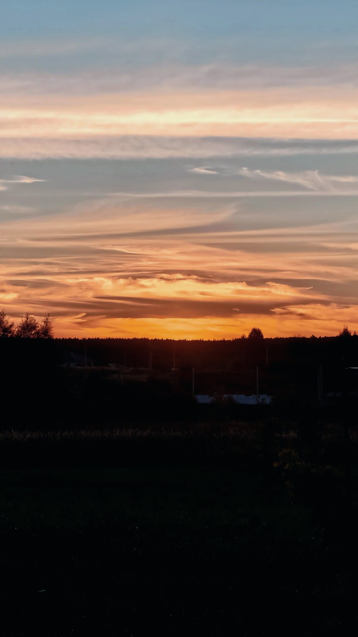 ταπετσαρίες horizon, Orange