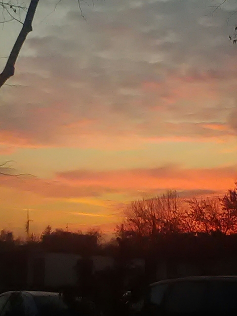 Sky