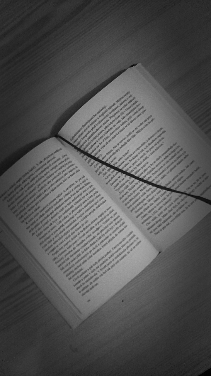 black&white#book#PauloCoelho,Nevěra#read