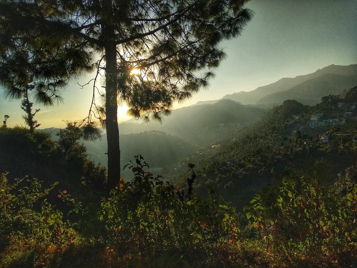 morning sun
