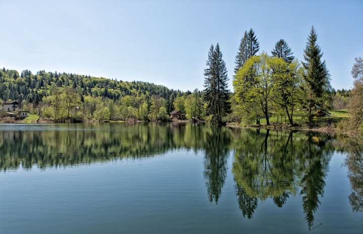 lagotrentino