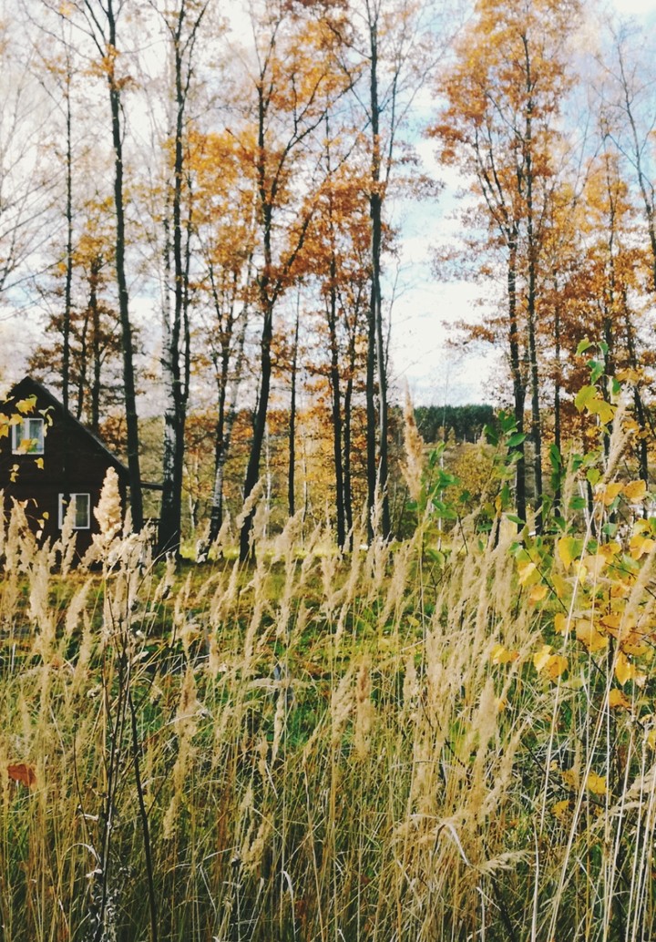 Autumn near the Moscow