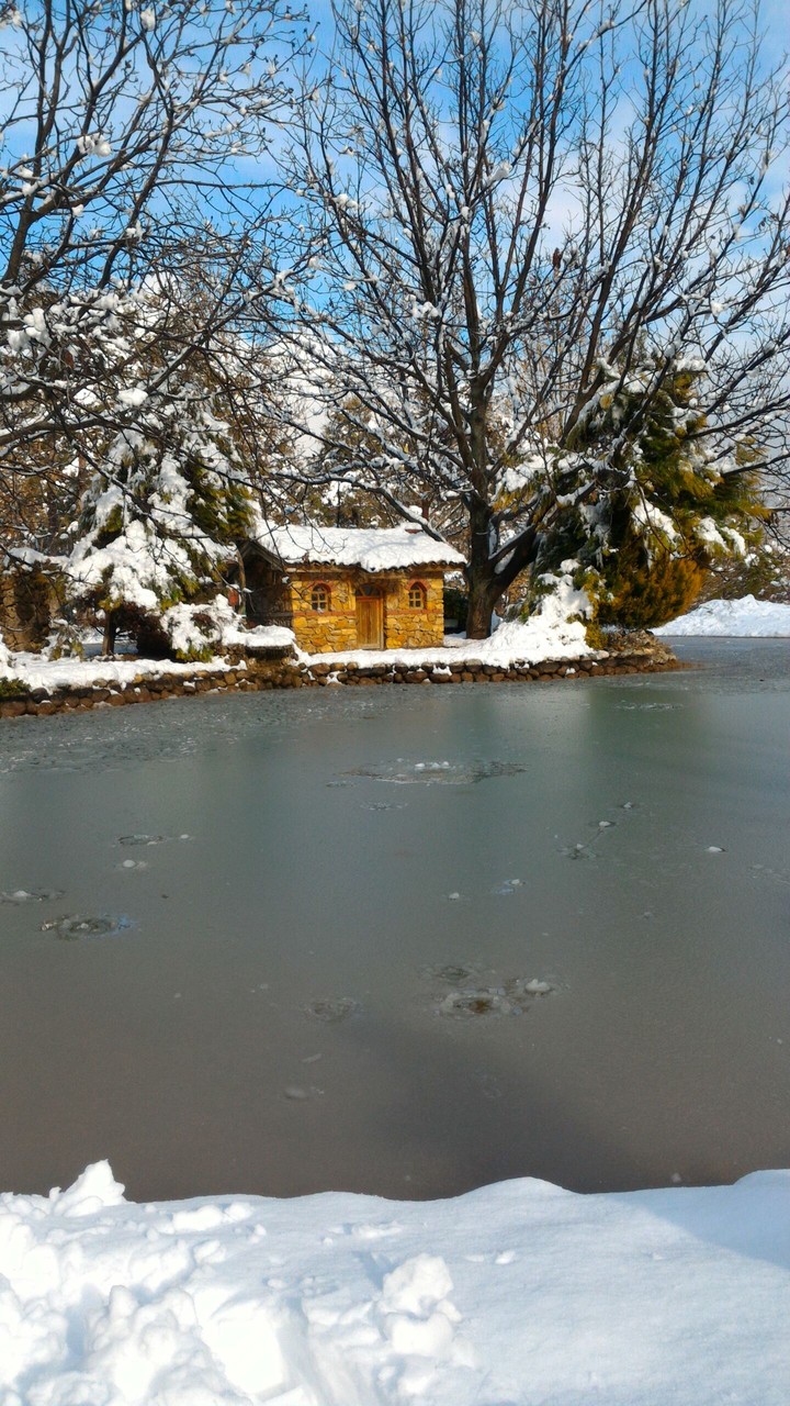 winter