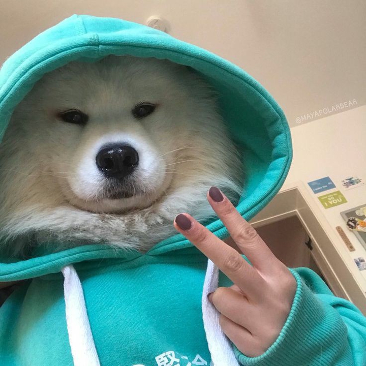 RN