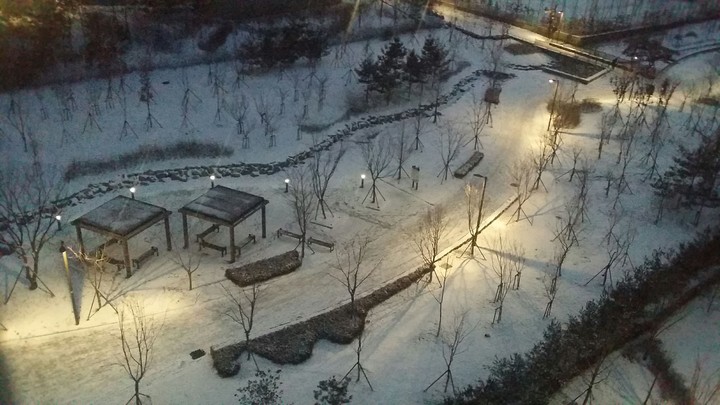 winter