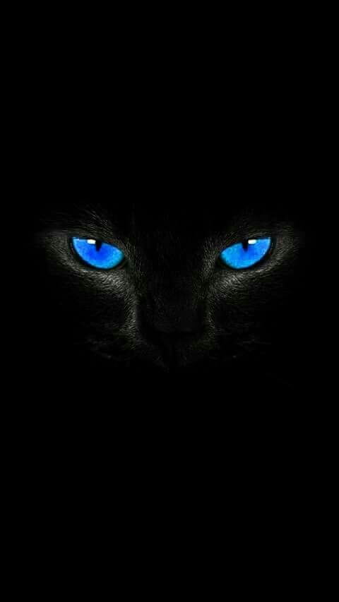 Blue Eyes