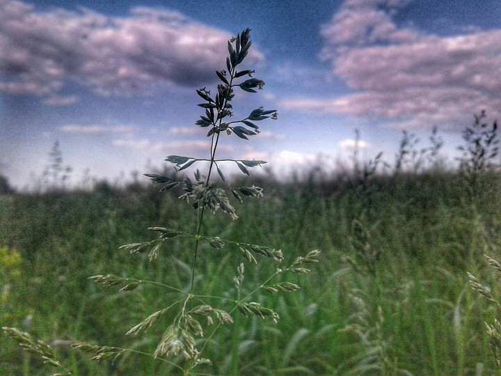 Природа