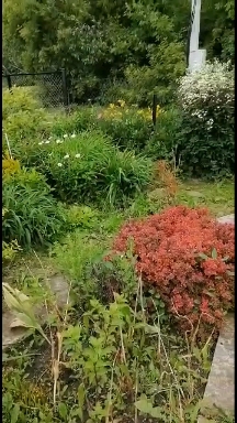Nature ❤️.