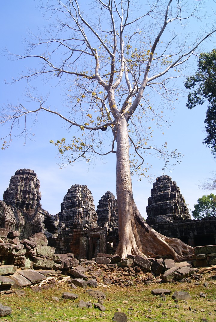 Travel