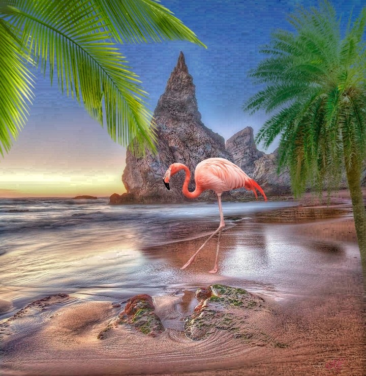 #nice_art