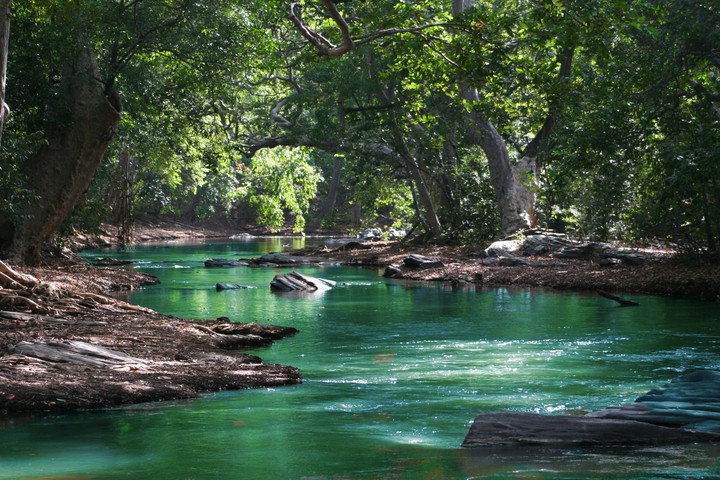 nature 0