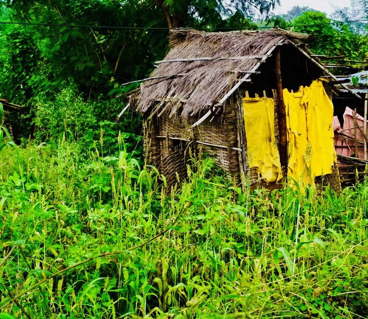 hut