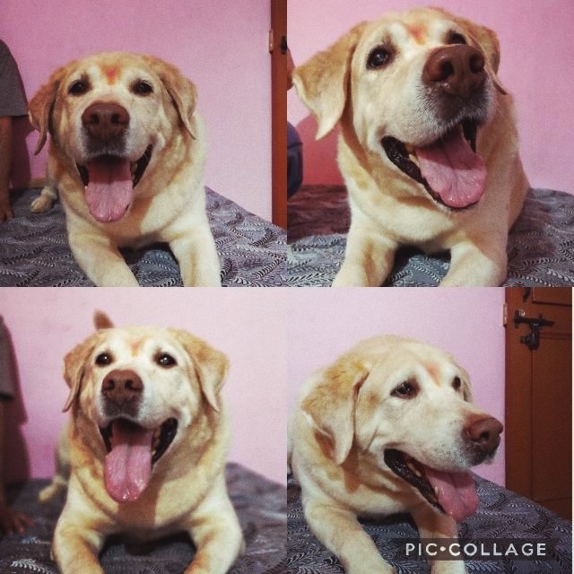 my Macky..