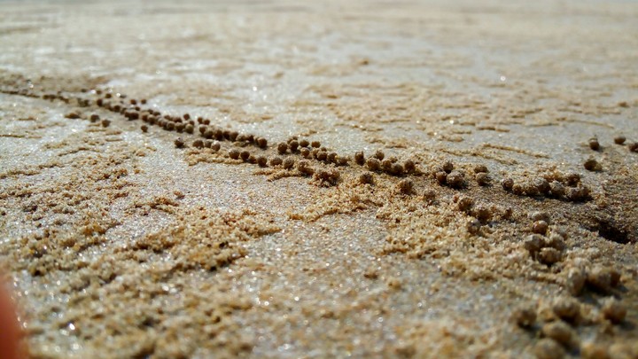 sand