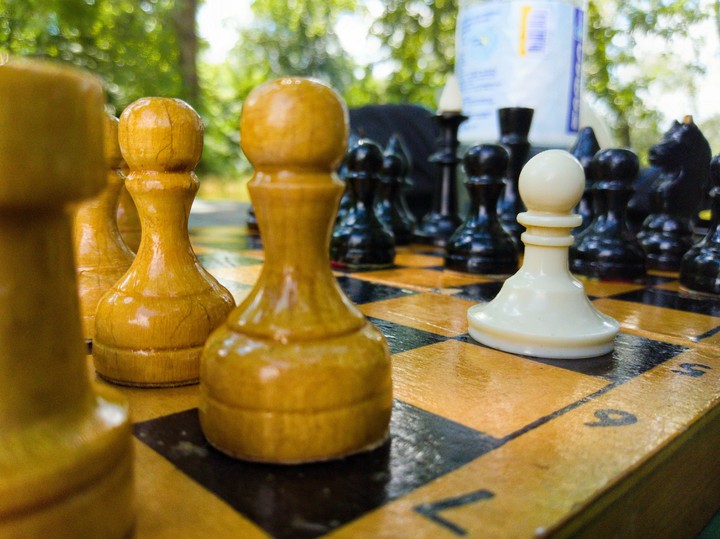 шахматы, chess