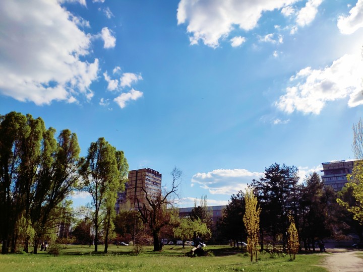 Spring sky