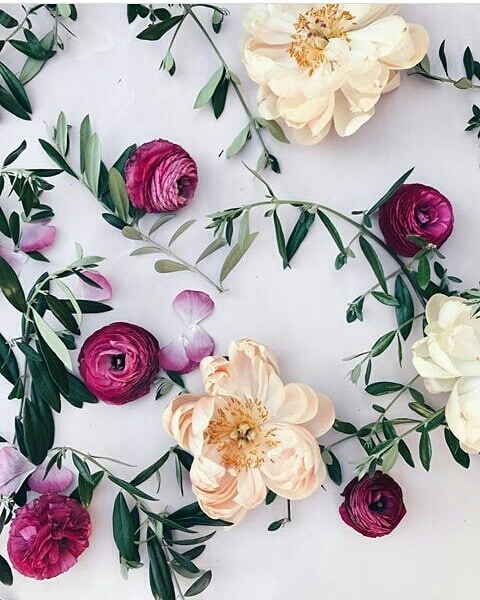 Flowers❤
