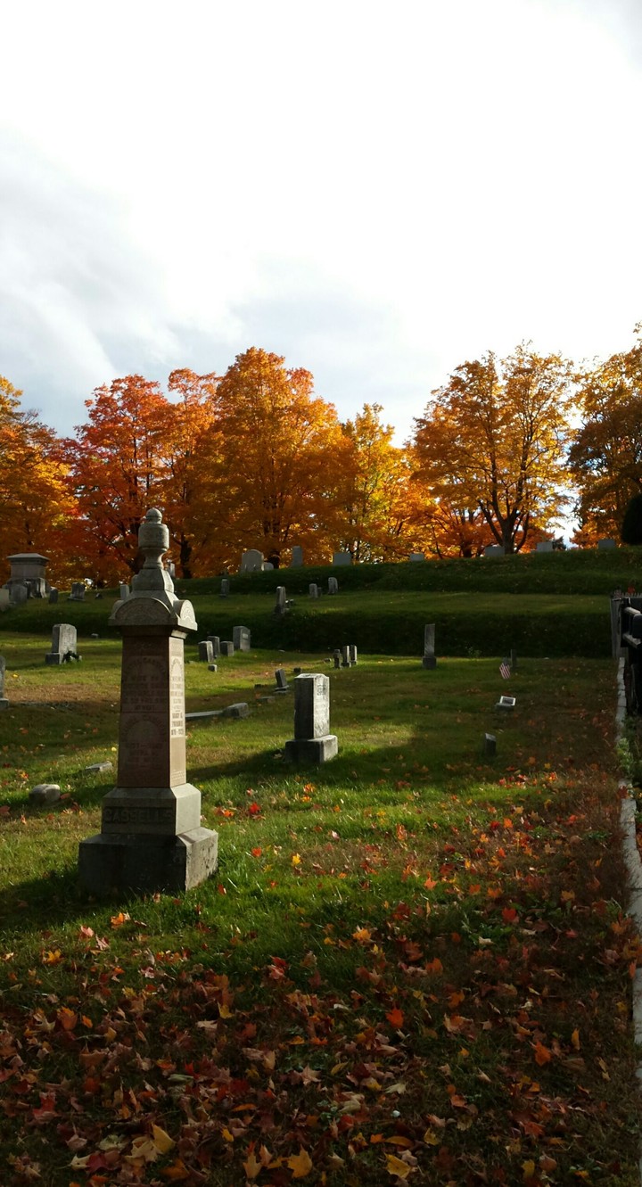 Fall