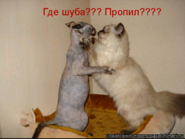 ХЕХ ХЕХ