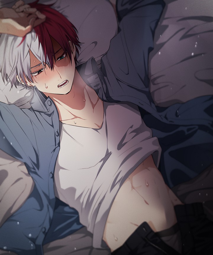 Todoroki Sh