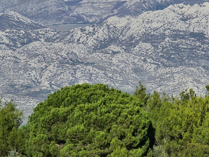 velebit mountain