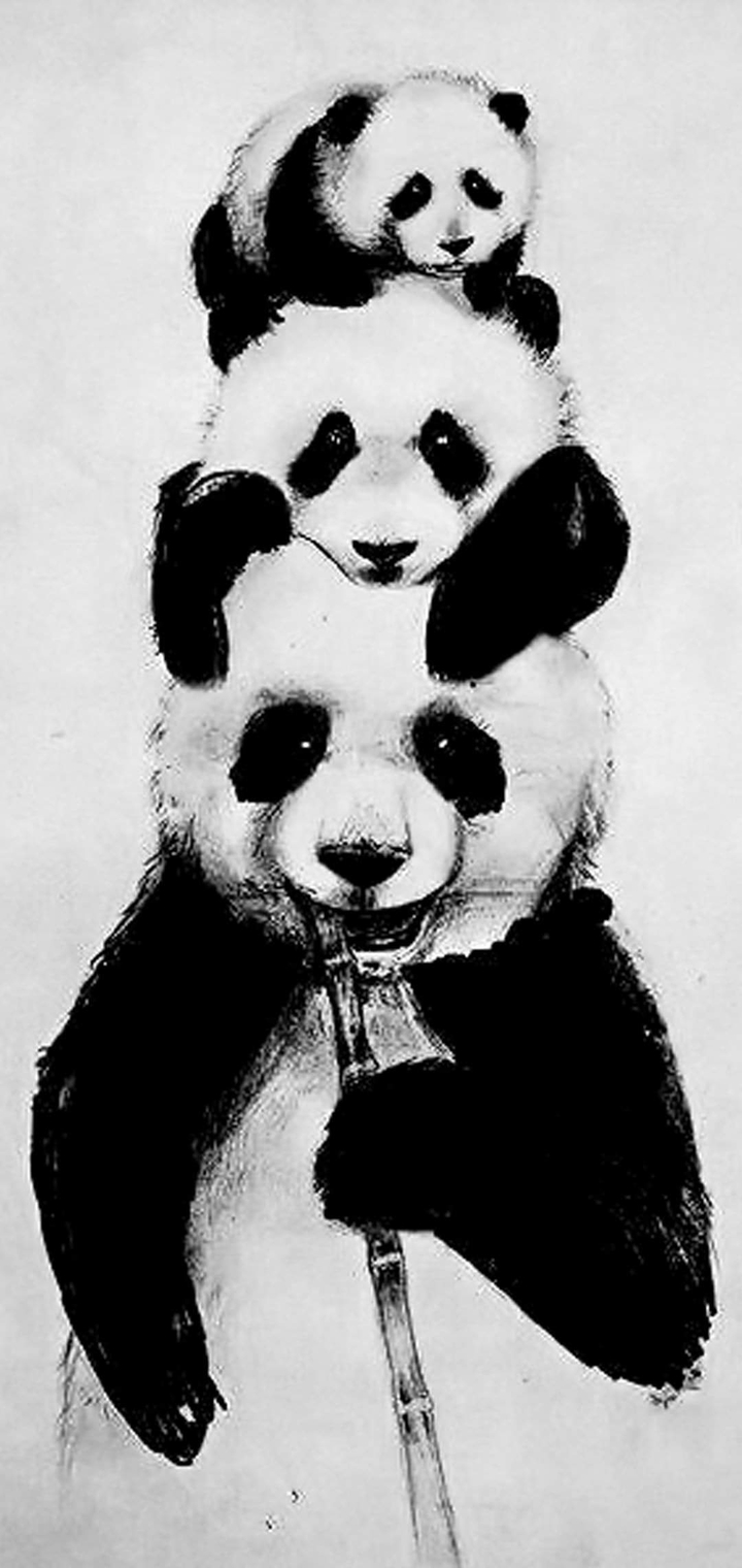 panda