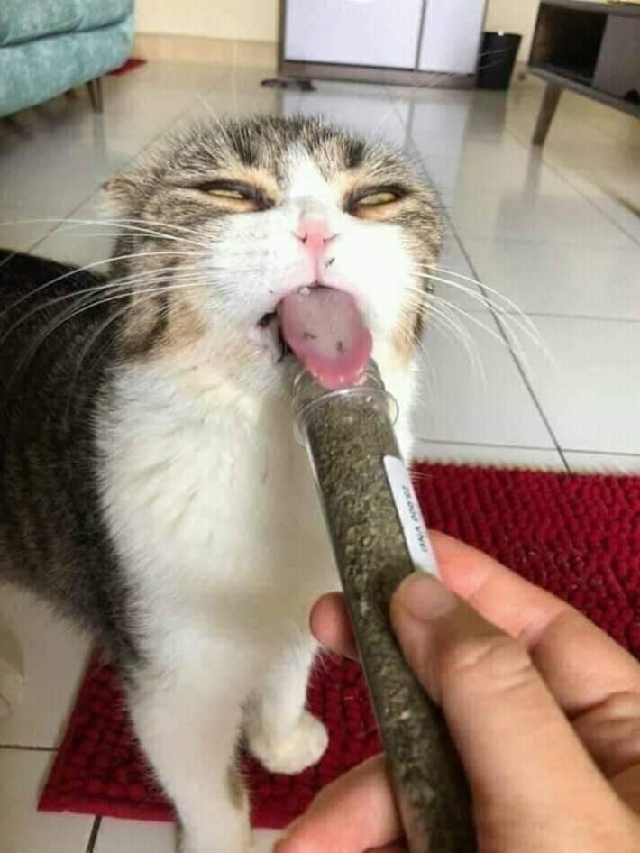 ㅋㅋ