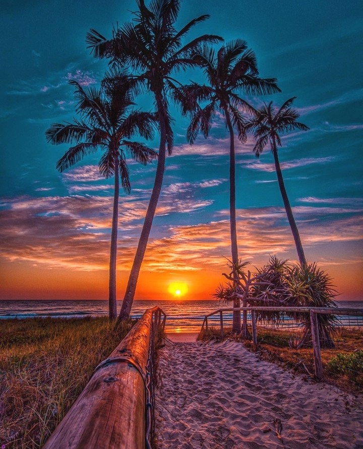 #sunset