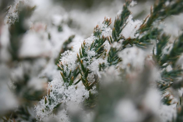 snow