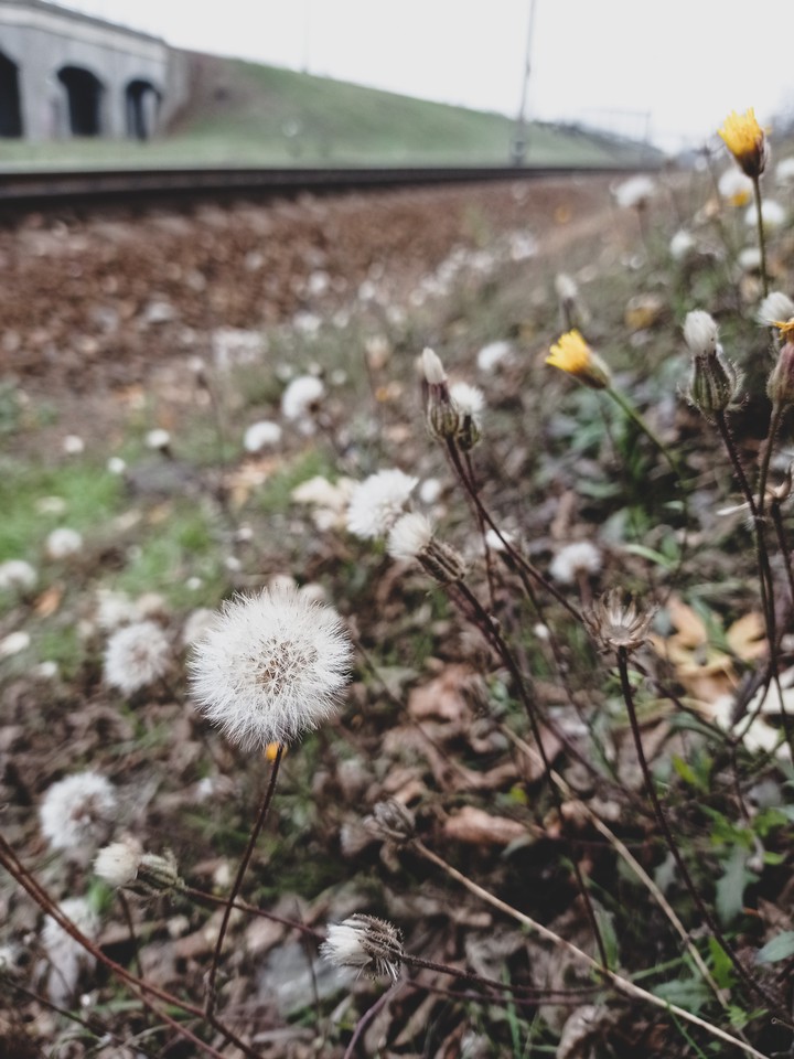 railway