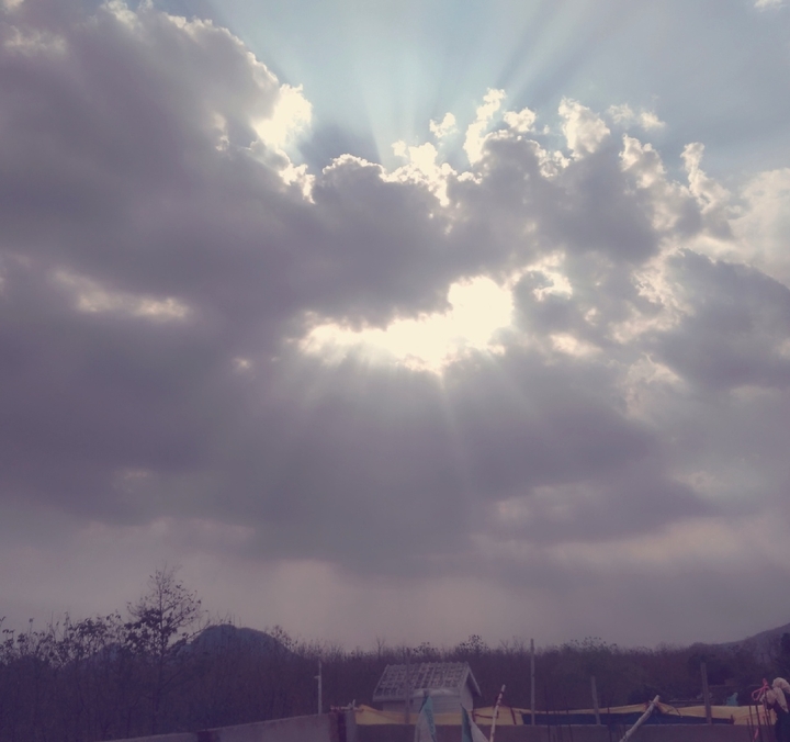 sunshine