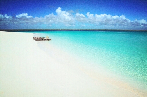 tropici