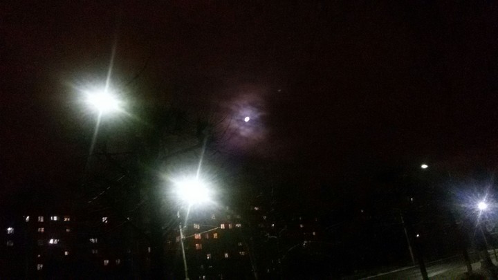 moonlight