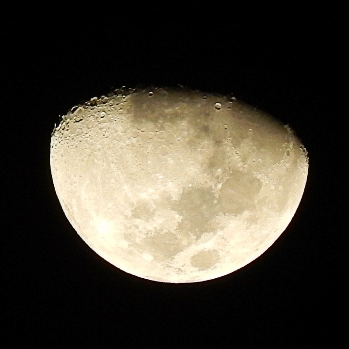 lua