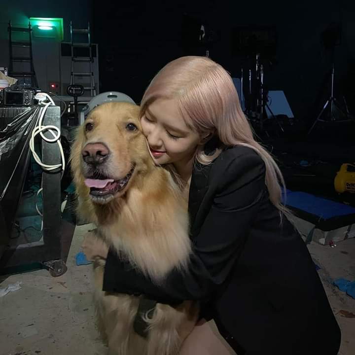 201119 [IG] roses_are_rosie