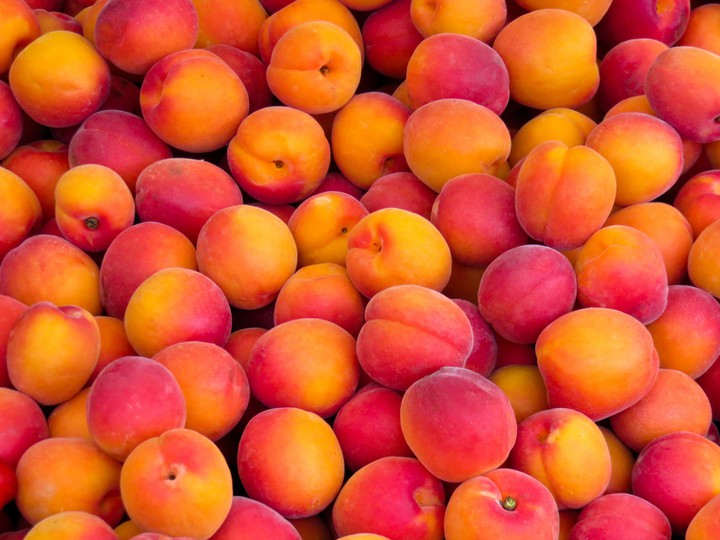 fruit