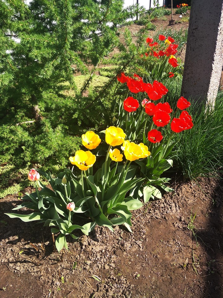 Хорошо у бабушки в деревне!
